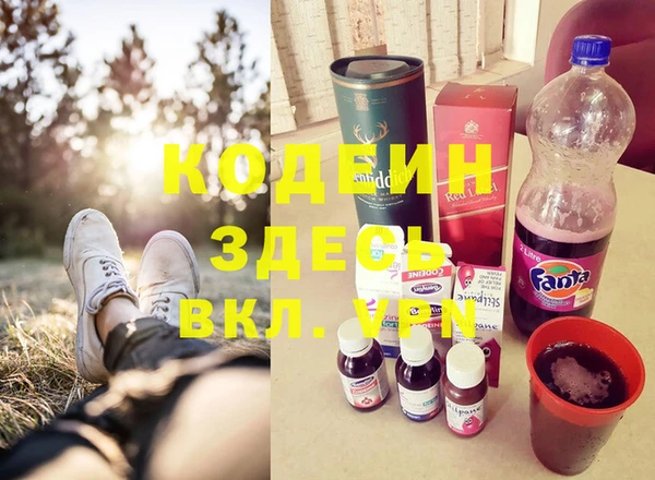 дмт Алзамай