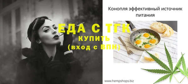 дмт Алзамай
